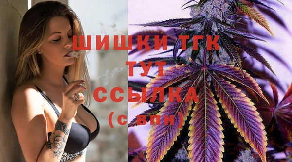 сатива Баксан