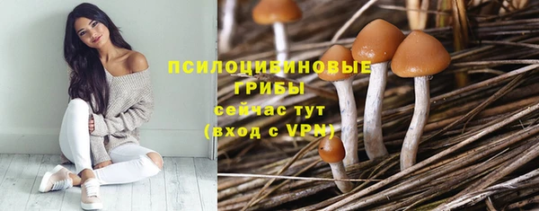 хмурый Арсеньев