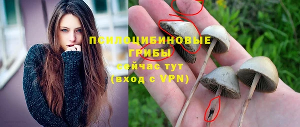 сатива Баксан