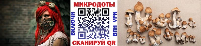 Галлюциногенные грибы прущие грибы shop какой сайт Полесск